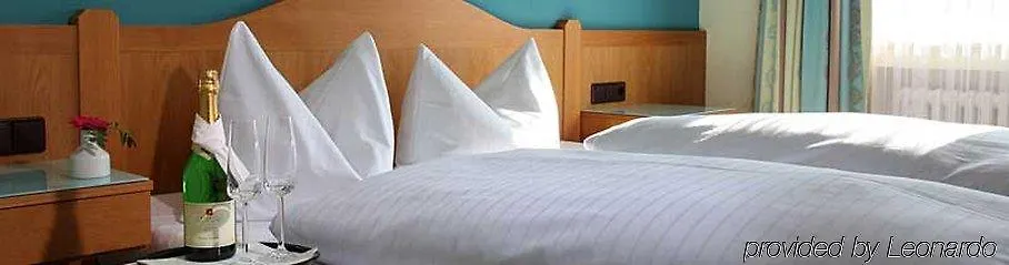 Hotel Frankenhof Hoechberg 3*,